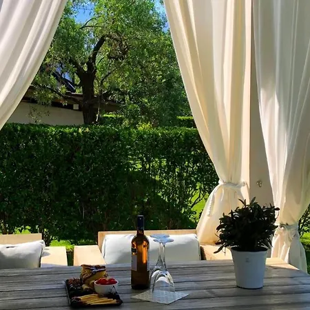 Olive Dream Thassos Luxury *