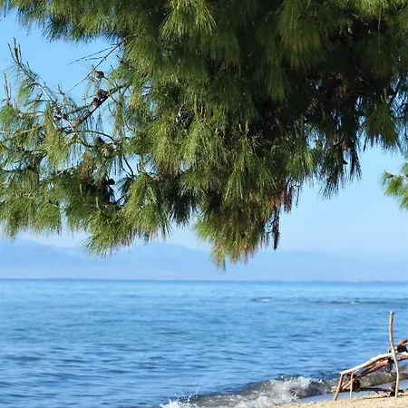 Villa Olive Dream Thassos Luxury Skala Rachoni (Thasos)