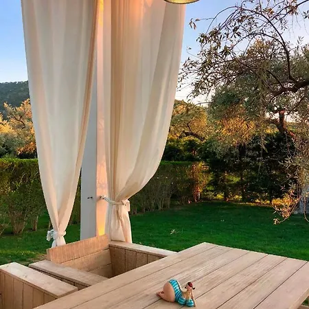Olive Dream Thassos Luxury