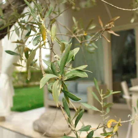 Olive Dream Thassos Luxury