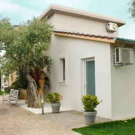 Olive Dream Thassos Luxury Villa *