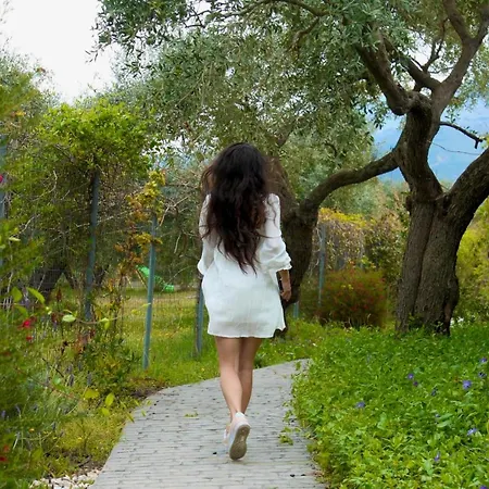 Olive Dream Thassos Luxury Villa *