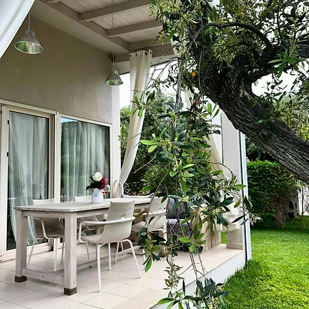 Olive Dream Thassos Luxury *